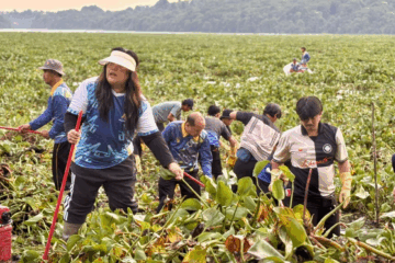 Badan Pengusahaan (BP) Batam melalui Badan Usaha SPAM dan Fasling kembali melakukan aksi pembersihan gulma yang menutupi permukaan Waduk Duriangkang, Selasa (18112025).