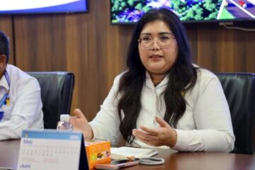 Anggota/Deputi Bidang Pelayanan Umum BP Batam, Ariastuty Sirait